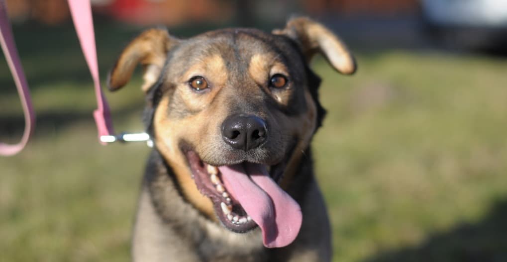 Podsumowanie roku ${item.rok}