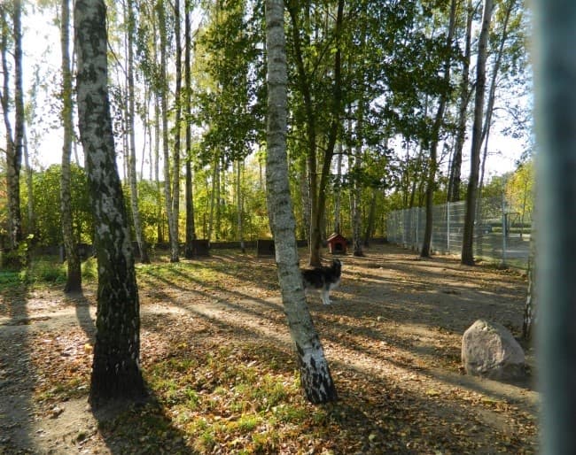 Wolontariusze fundacji