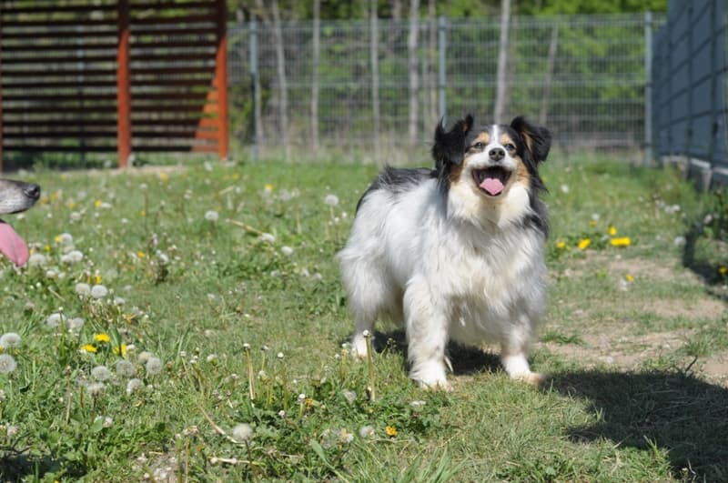 Podsumowanie roku 2020