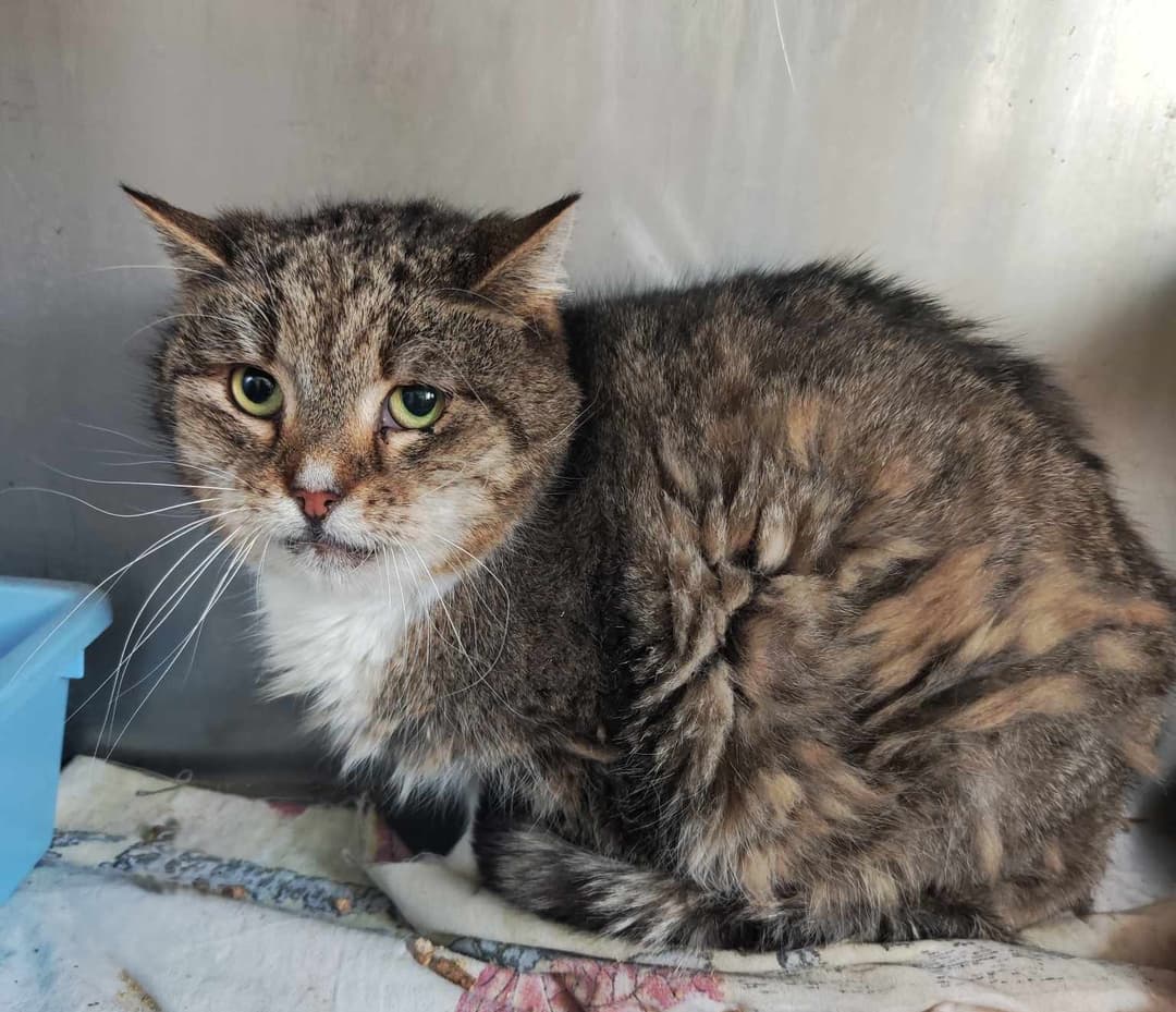 Podsumowanie roku 2020